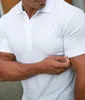 Men Sport Tee Polos T-Shirt Top Fitness Short Sleeve Blouse Casual Slim Fit Summer Breathable Gym Bodybuilding 240318