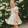 Abiti da ragazza Elegante vestito casual per ragazza per l'estate 3-8 anni Vestiti per bambini per principessa Tutu Compleanno per bambini Fiore Abito a maniche corte per bambini yq240327