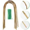 Supporto Traliccio di bambù Piante in vaso Rampicanti Accessori per piante d'appartamento Monstera Small Indoor 240322
