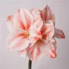 Decorative Flowers High Quality Simulated Moisturizing Clivia Artificial Plants Easter Decoration Living Room Display Natural Preserved