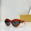 Nieuwe coole Cat Eye-zonnebril voor damesmode Supergroot frame Street Photo-zonnebril Hoge kwaliteit zonnescherm Topklasse Originele verpakking LW40119I