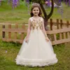 Schöne Champagnerjuwelen-Applique Mädchen Festzugskleider Blumenmädchenkleider Mädchen Geburtstags-/Partykleider Mädchen Alltagsrocks Kinder tragen SZ 2-10 D327223