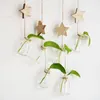 Jarrones decorativos de pared de cristal de madera, florero de flores, adornos de estrella y Luna para decoración para sala de estar, hidropónico creativo moderno