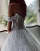 Newest Lace Tulle Wedding Dresses 2024 A Line Off Shoulder Appliques Backless Long Arabic Bridal Gowns Plus Size Robes de mariage BC9463