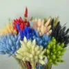 50 pz Secchi Coda di Coniglio Erba Fiori Piante Artificiali Bouquet Festa di Nozze Desktop di Casa Fiori Decorativi Fiore Eterno 240321