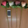 Dekorativa blommor konstgjorda blommor Silk King Protea Diy Arrangement Fake Emperor Branch Home Party Wedding Table Decoration Plant