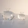 家庭装飾用のザクロのザクロの家の花瓶の花瓶ガラスデスクトップ卓上テラリウムテーブル装飾