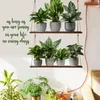 Dekorativa blommor klistermärken Green Plant Wall Adhesive Potted Decal Bonsai Mural Decoration Hushållens tapet