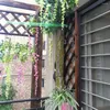 Kwiaty dekoracyjne 30x50 cm willa DIY Fałszywe drzewo Retro Rury Dekoracja Pilar Woda Woda Work Domowa Zielona roślina sztuczna kora balkon