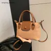 Omuz Çantası Marka Kadınlar Sonbahar ve Kış Yeni Çantalar Işık Lüks Çantası Şık çok yönlü crossbody Küçük Popüler Kadınlar