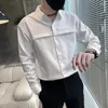 Camicie casual da uomo 2024 Camicie a maniche lunghe da uomo primavera di alta qualità / Camicia da uomo slim fit tinta unita stile coreano masculina