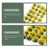 Decoratieve Bloemen Ornament Bloemcluster Model Zand Tafelornamenten Decor Gras Vegetatie Gesimuleerd Huis Fee Landschap