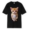 El Gato Meme 슬픈 울고있는 고양이 Munchkin Kitty Meme 트렌디 한 그래픽 티셔츠 유엔 FI 짧은 슬리브 티셔츠 대형 스트리트웨어 D8TU#
