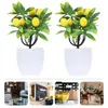 Decorative Flowers 2 Pcs Artificial Green Plants Ornament Kitchen Decor Tree Plastic Fake Office Faux Small