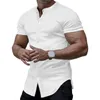 Chemises décontractées pour hommes Chemise à manches courtes Hommes Col montant Respirant Été Slim Fit Simple boutonnage pour le confort