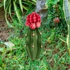 Dekorativa blommor 3 PCS Garden Inserts Plant Lawn Stake Acrylic Yard Cactus-Shape Ornament