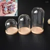 Garrafas 8x mini garrafa de vidro terrário jar base de bambu cúpula capa de poeira diy espécime planta suculenta micro paisagem flor vaso exibição