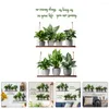 장식용 꽃 스티커 녹색 식물 벽 접착제 화분에 화분 한 데칼 분재 벽화 장식 가정 벽지