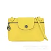 Handbag Store Wholesale Retail New Bag Small One Shoulder Crossbody Lunch Versatile Fashion Makeup