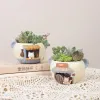 Potten Creatieve plantenbak voor vetplanten Tuindecoratie Hars Bloempot Decoratief Ornament Fee Tuin Kat Vos Tafelblad Decor