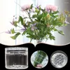 Vasos Clear Spiral Flower Stem Stand Bouquet Arranjo Floral Ikebana Vaso Titular Anel para Festa Casamento Casa