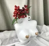 VASES HUMAN ART DRY FLOWER SOFTWORIONソフトウェアリビングルームデザイン飾り飾り飾られた金色の塗装セラミックINS花瓶