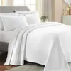 Set di biancheria da letto Copripiumino Lenzuolo in cotone premium Set da 3 pezzi Letto matrimoniale Bianco Camera da letto di casa calda