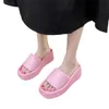 Kapcie Kapcie Sieć uczucie kinia boom sandały damskie nosić letnią koreańską wersję Tide Fairy Style Flip Flip Flops Casual 2023 H240328