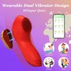 Vibrator seksspeeltje Dubbele motor Mini slipje Draagbare vibrator voor vrouwen Clitstimulator Draadloze APP-bediening Magnetische vibrerende Vrouwelijke Masturbator Seksspeeltjes