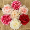 Konstgjorda blommor Silk Peony Heads Party Wedding Decoration Supplies Simulation Fake Flower Head Home Decorations WX-C09