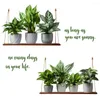 Decorative Flowers Stickers Green Plant Wall Adhesive Potted Decal Bonsai Mural Decoration Household Wallpaper