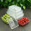 Storage Bags 100pcs Fruit Packaging Boxes Disposable Transparent Plastic Box Without Lid Octagonal Rectangular Vegetable