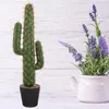 Dekorativa blommor konstgjorda kaktusar falska stora faux kaktusväxter för rumskontor