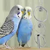 Andra fågelförsörjningar papegoja leksaksklocka dekor leksaker dekorativa avledningsklockor känsliga hängsburar tugga