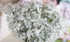 New Arrive Gypsophila Baby's Breath Artificial Fake Silk Flowers Plant Home Wedding Decoration