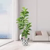 Fiori decorativi 180-200 cm Ficus Tree Fuce Pianta in plastica in vaso pianta ornamentale interno artificiale per la decorazione degli uffici domestici
