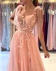 Pink Evening Dresses 2024 New Sexy Backless Sheer Spaghetti Straps A Line Tulle Prom Party Gowns Bridesmaidsd Women Occasion Vestidos BC10147