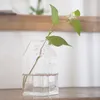 Vasi Fioriere in vetro Appeso a parete Piante aeree Porta piante Sistema di coltivazione idroponica Vaso Terrari Contenitore