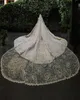 Luxury Royal Veil Ball Gown Wedding Dress Beading Lace Appliques Pearl Cathedral Sweep Floor Bridal Gowns Vestido De Novia