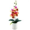 Decorative Flowers Fancy Colorfast Flexible Weather-resistant Wedding Artificial Orchid Flower With Pot Plant Reusable