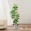 Fiori decorativi 180-200 cm Ficus Tree Fuce Pianta in plastica in vaso pianta ornamentale interno artificiale per la decorazione degli uffici domestici