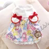 Dog Apparel Pet Clothes Bear Doll Dress For Dogs Clothing Cat Small Cute Thin Spring Summer Girl Pink Blue Chihuahua Products 2024