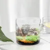 Vasi Micro Paesaggio Piante Contenitore Bottiglia ecologica Vetro Terrario vuoto Vaso fai da te Muschio Desktop Microlandscape