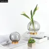 Vases Spherical Glass Vase Metal Support Desk Decoration Flowers Pots Decorative Flower Arrangement Modern Hydroponics Floral