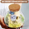 Vases mini fleurs terrarium mousse rond en verre écologique bouteille écologique en liège microlandscape jardinière pour plantes