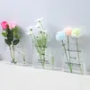 Vases Book Vase Acrylic Desktop Bookcase Decoration Aquatic Table Flower Home Arrangement