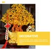 Fleurs décoratives Citrine Macrocarpa, décoration de maison, bonsaï, arbre porte-bonheur, cristal, ornement de bureau en bois