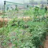 NEW 2024 Nylon Mesh Horticulture Plant Crawl Net Loofah Morning Glory Cucumber Vine Grow Holder Crawl Farm Gardening Network- for Loofah Morning Glory Cucumber Vine