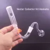 14mm vidro queimador de óleo bong dab palha plataformas petrolíferas micro nc conjunto de vidro fumar tubulação de água com 30mm bola de vidro queimador de óleo tubo 2pcs LL