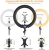 Ring Light with Wireless Remote and iPad Holder, 19 Inch Bi-Color LCD Display Ring Light with Stand and Selfie Remote